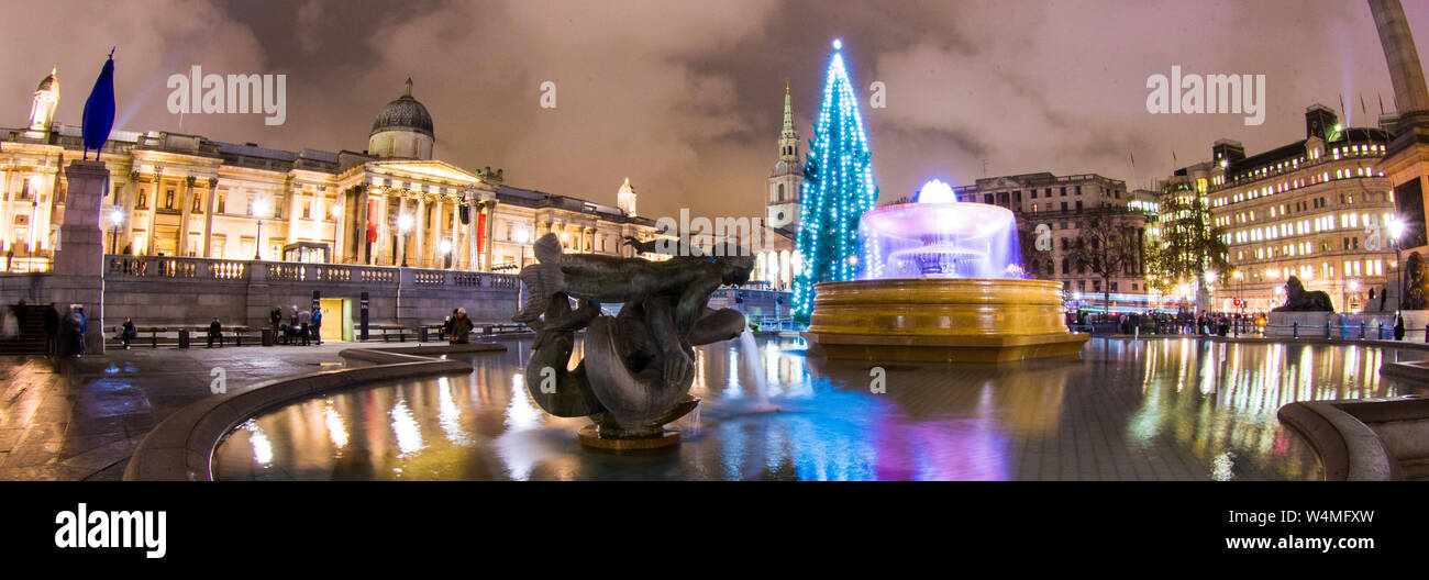 The Trafalgar Square Christmas tree is a Christmas tree donated to the people of Britain by the city of Oslo, Norway each year since 1947 Stock Photo