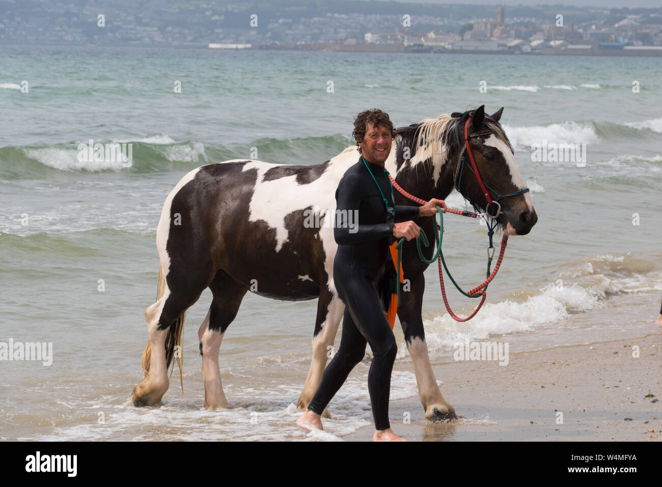 Longrock, Cornwall, UK. 24th July 2019. UK Weather. Rider and horses from Cornwall Swimming Horses cooling off in the heatwave with a dip in the sea this morning.  Credit Simon Maycock / Alamy Live News. Stock Photo