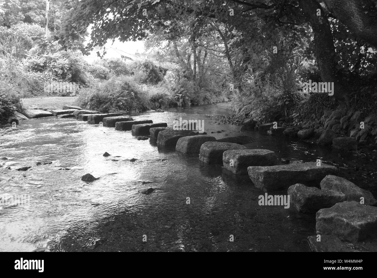 The stepping stones over the River Cober at Lowertown, near Helston, Cornwall, UK. Stock Photo