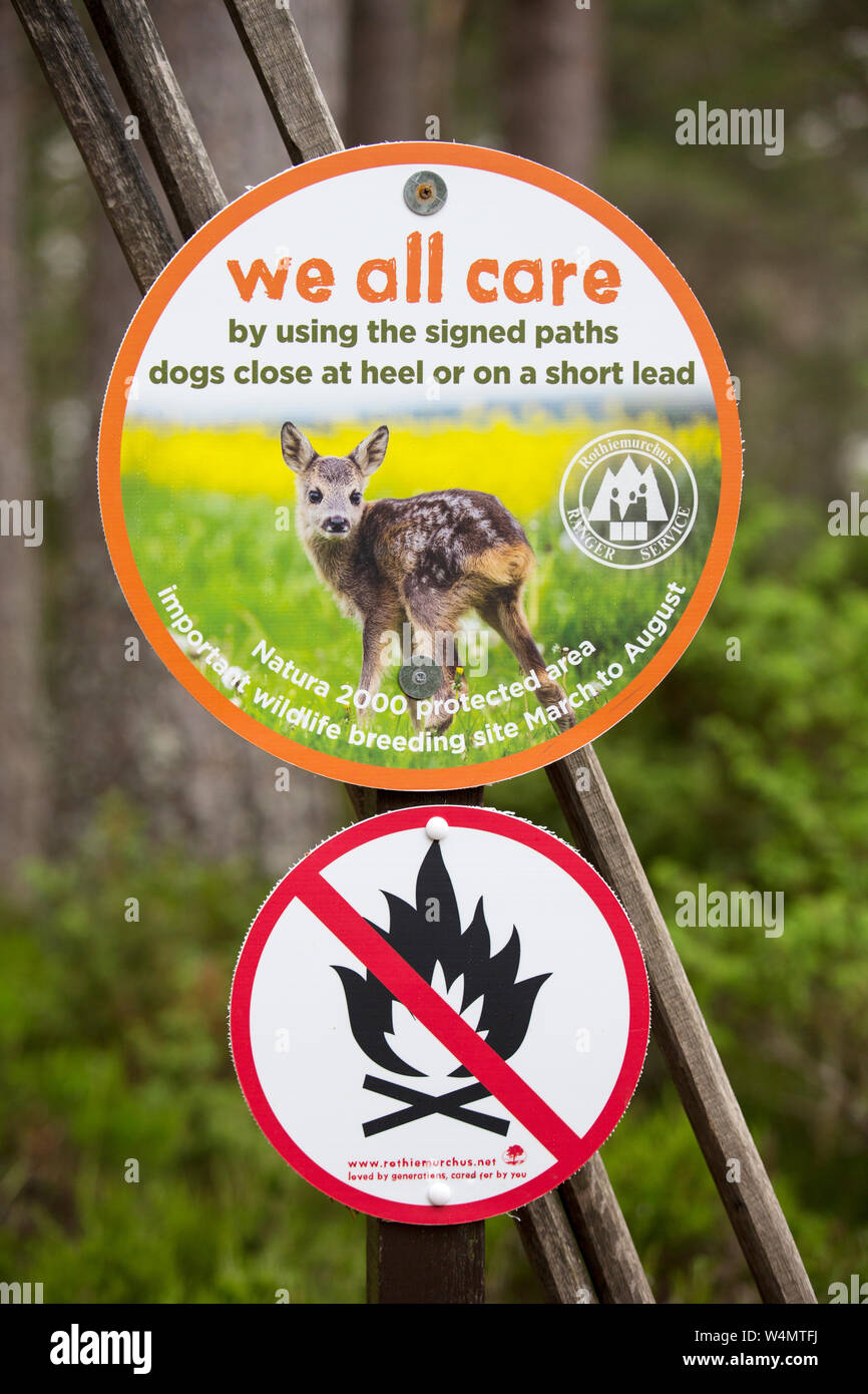 Dog control hires stock photography and images Alamy