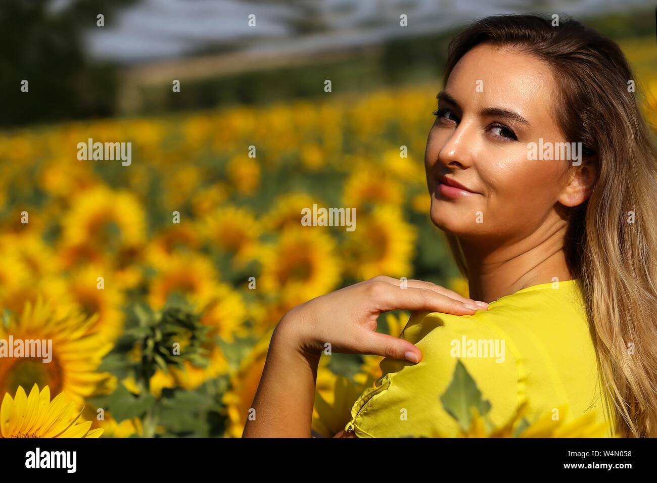 Cute girl in the field full of sunflowers Stock Photo - Alamy