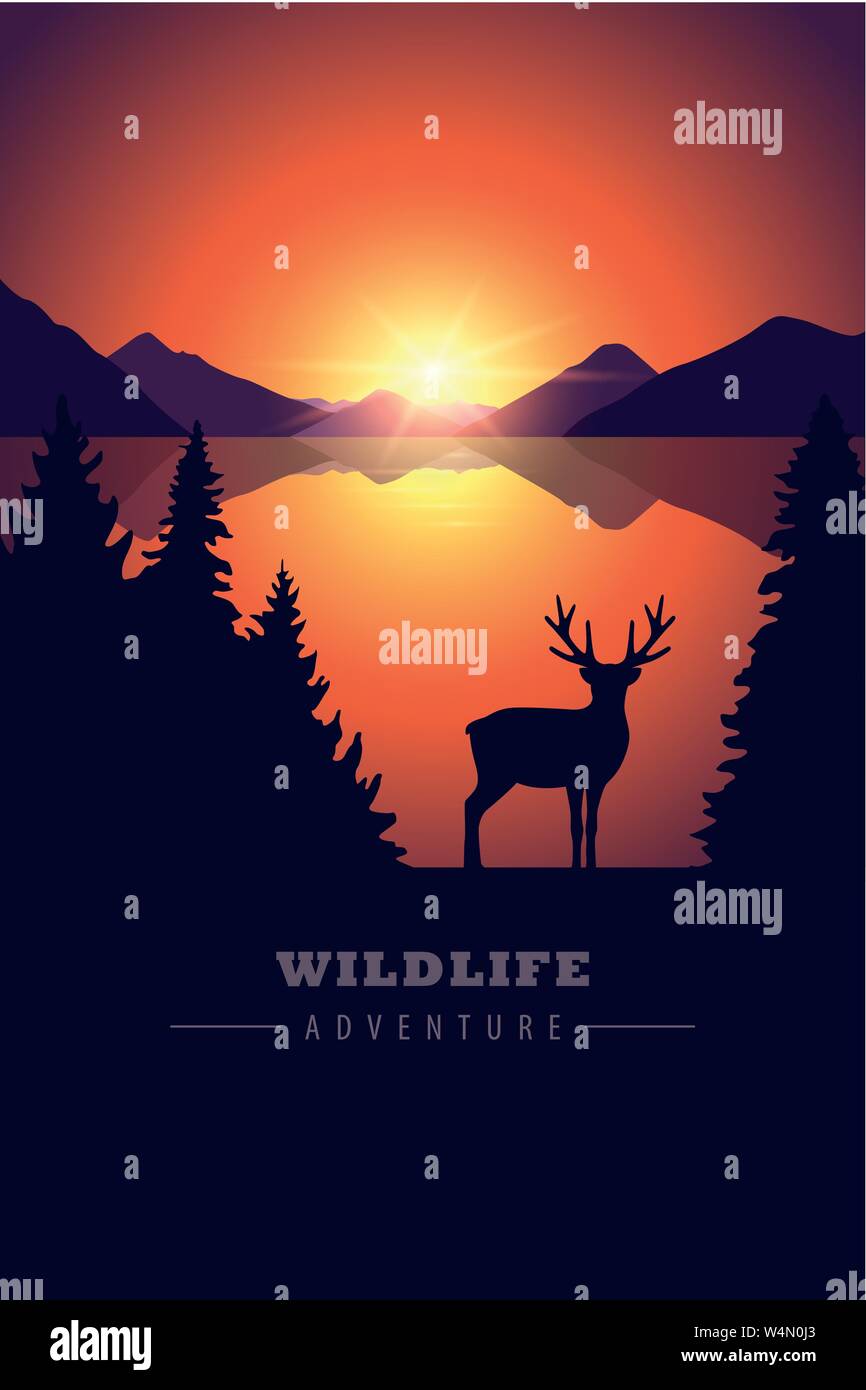 wildlife adventure elk in the wilderness by the lake at sunset vector illustration EPS10 Stock Vector