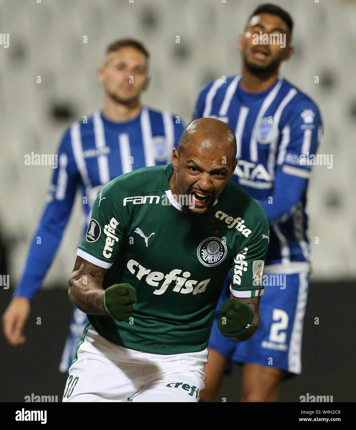 camisa palmeiras libertadores 2019