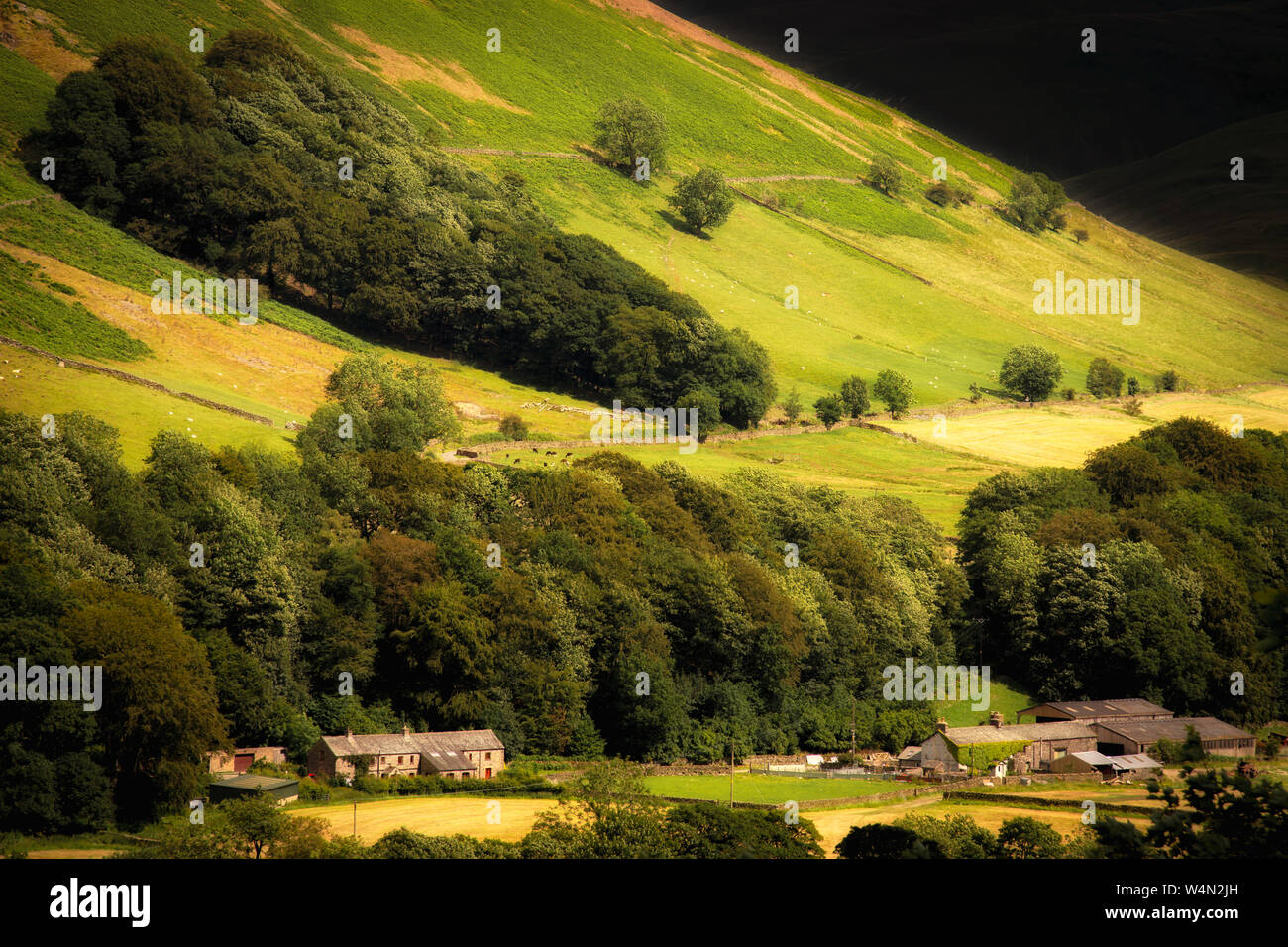 The heart shaped wood above High Carlingill in the Howgill Fells, Cumbria. Stock Photo