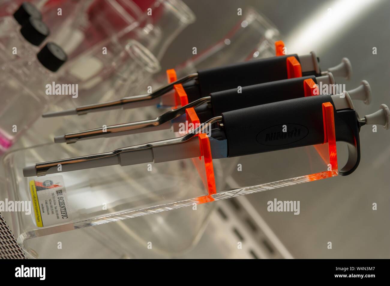 Close-up of a rack of pipettes in a biotechnology laboratory at the Johns Hopkins University in Baltimore, Maryland, January 21, 2010. From the Homewood Photography collection. () Stock Photo