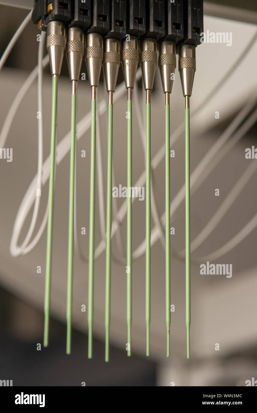 Close-up of a row of pipette tips used to fill multiple fluid vials in a biotechnology laboratory at the Johns Hopkins University in Baltimore, Maryland, January 21, 2010. From the Homewood Photography collection. () Stock Photo