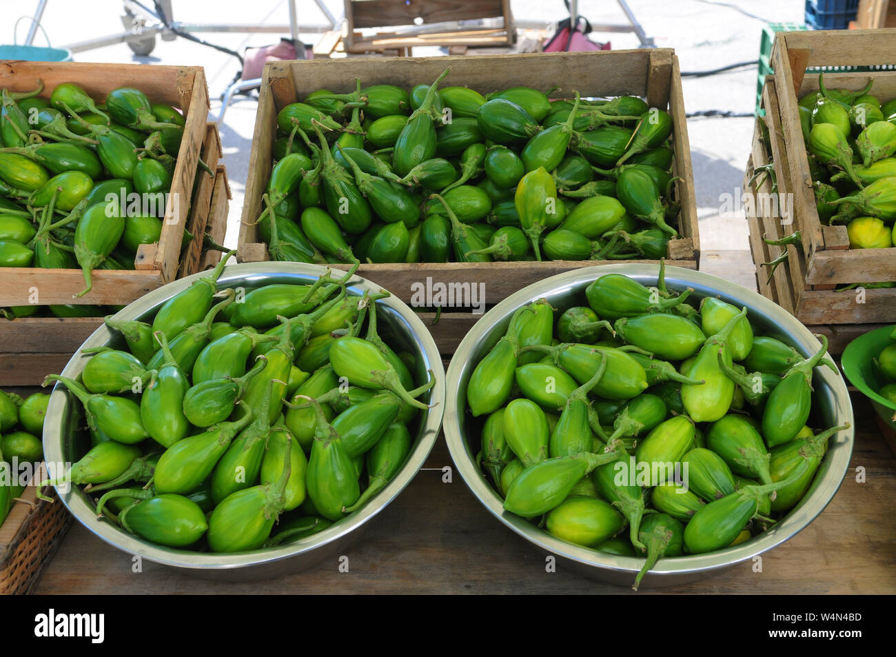 Jiló (Scarlet eggplant) is a fruit known for its bitter taste, widely  consumed in Brazi. Photographed on imperial palm leaf Stock Photo - Alamy