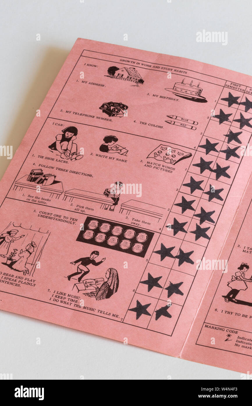 card binder pink Pink Diamond Series - 9pkt Card Binder - Zippered - 360 Cards