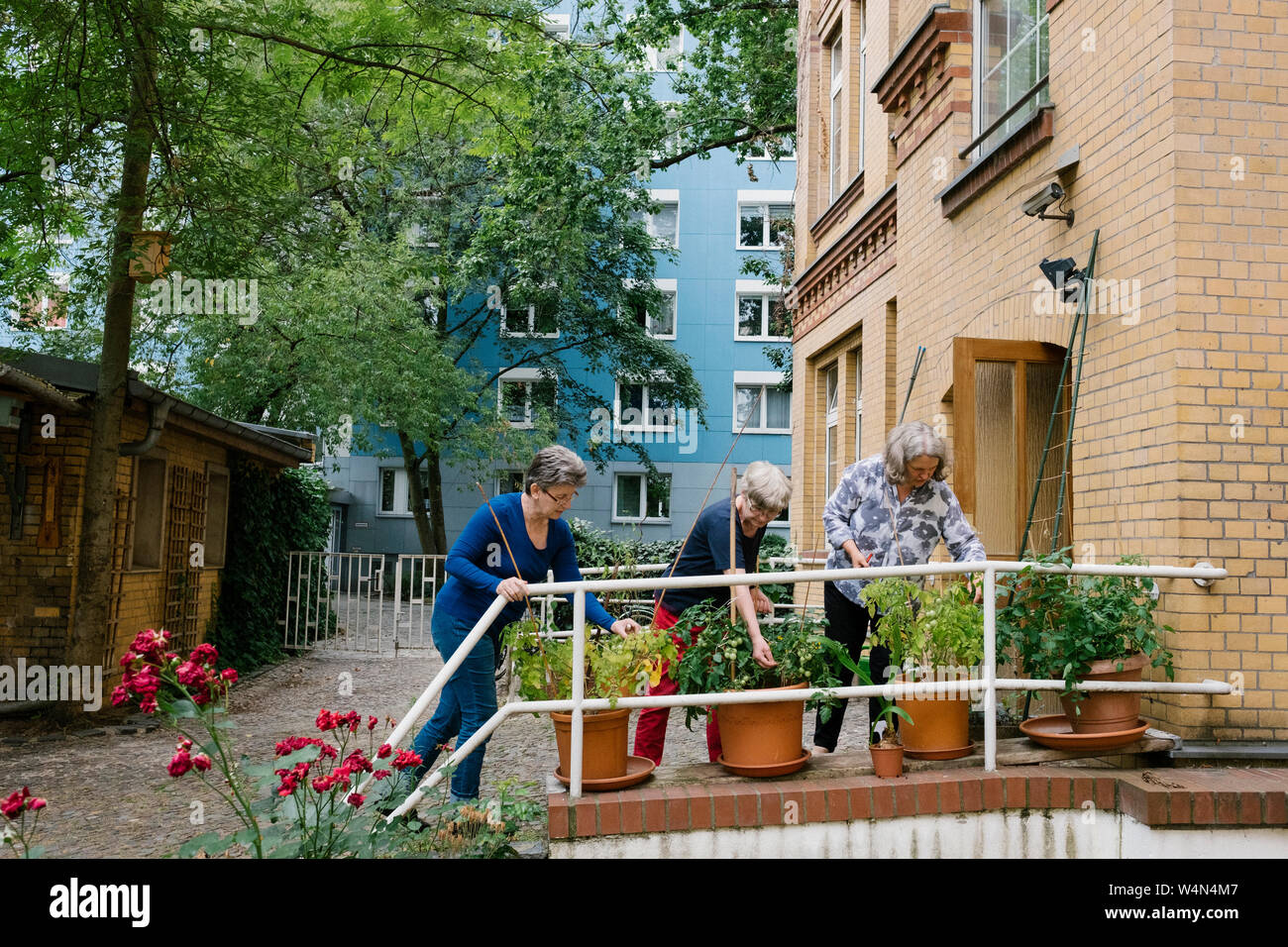 19 July 2019 Berlin 19 07 2019 Berlin Garden Hour With Garden