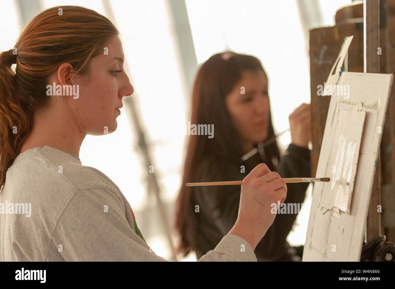 Profile close-up of an artist, painting an easel-mounted project, in a studio space at the Mattin Center, at the Johns Hopkins University, Baltimore, Maryland, February 6, 2006. From the Homewood Photography Collection. () Stock Photo