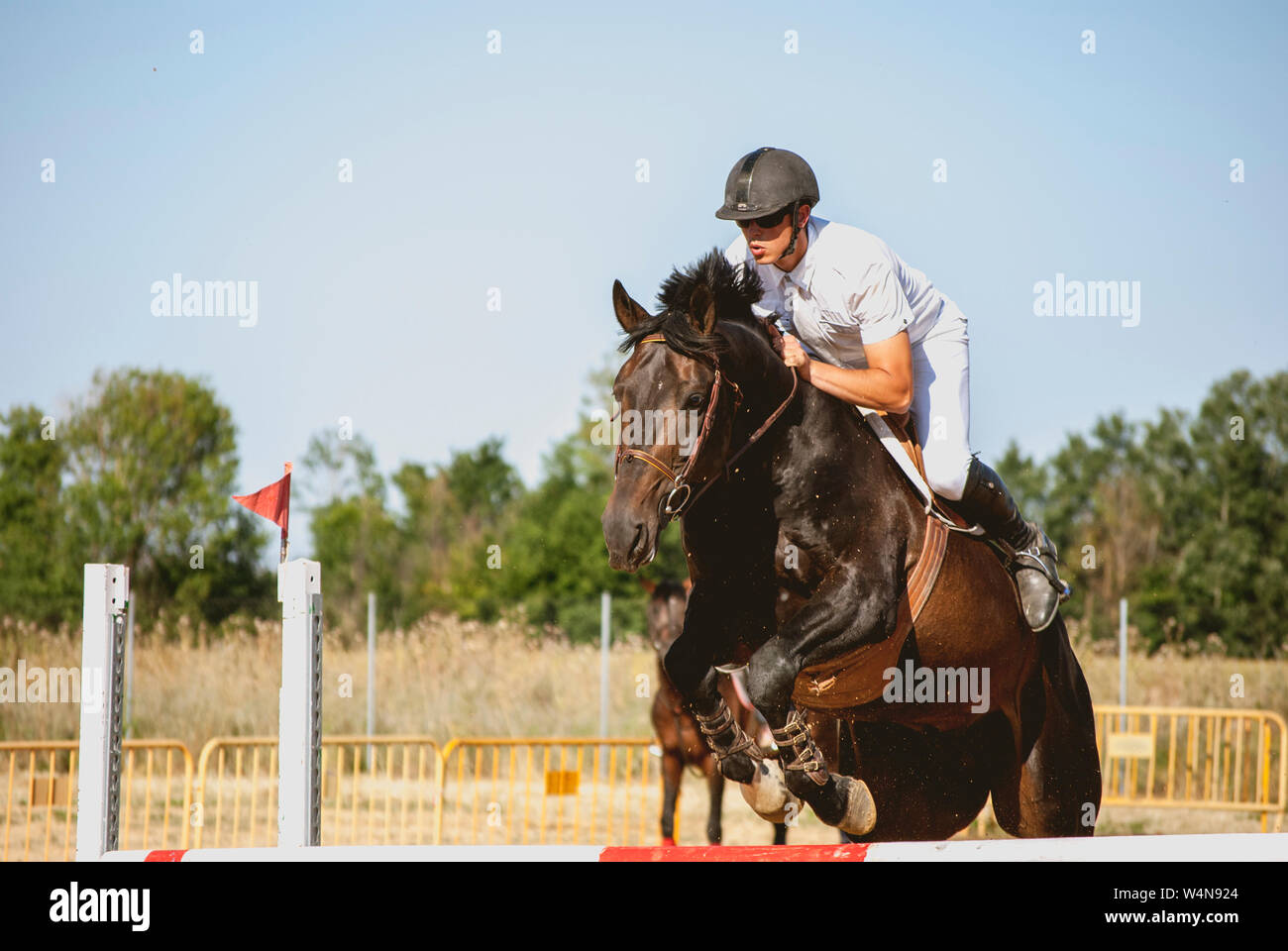 horses and riders in equestrian competition jumping fences Stock Photo