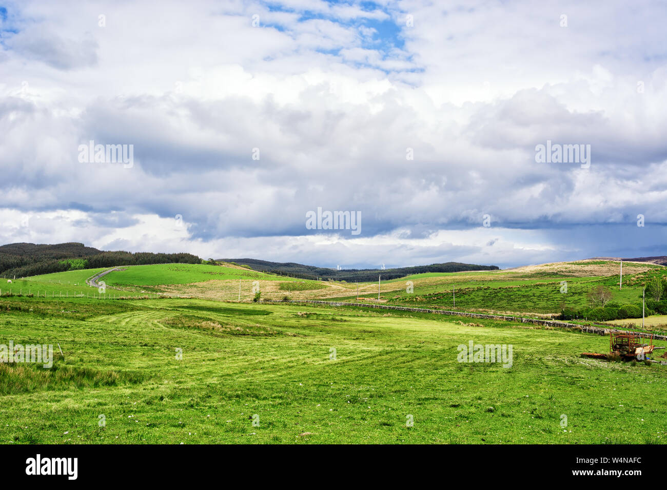 Farmland with agricultural agreement in Kintyre in the Highlands of Scotland Stock Photo