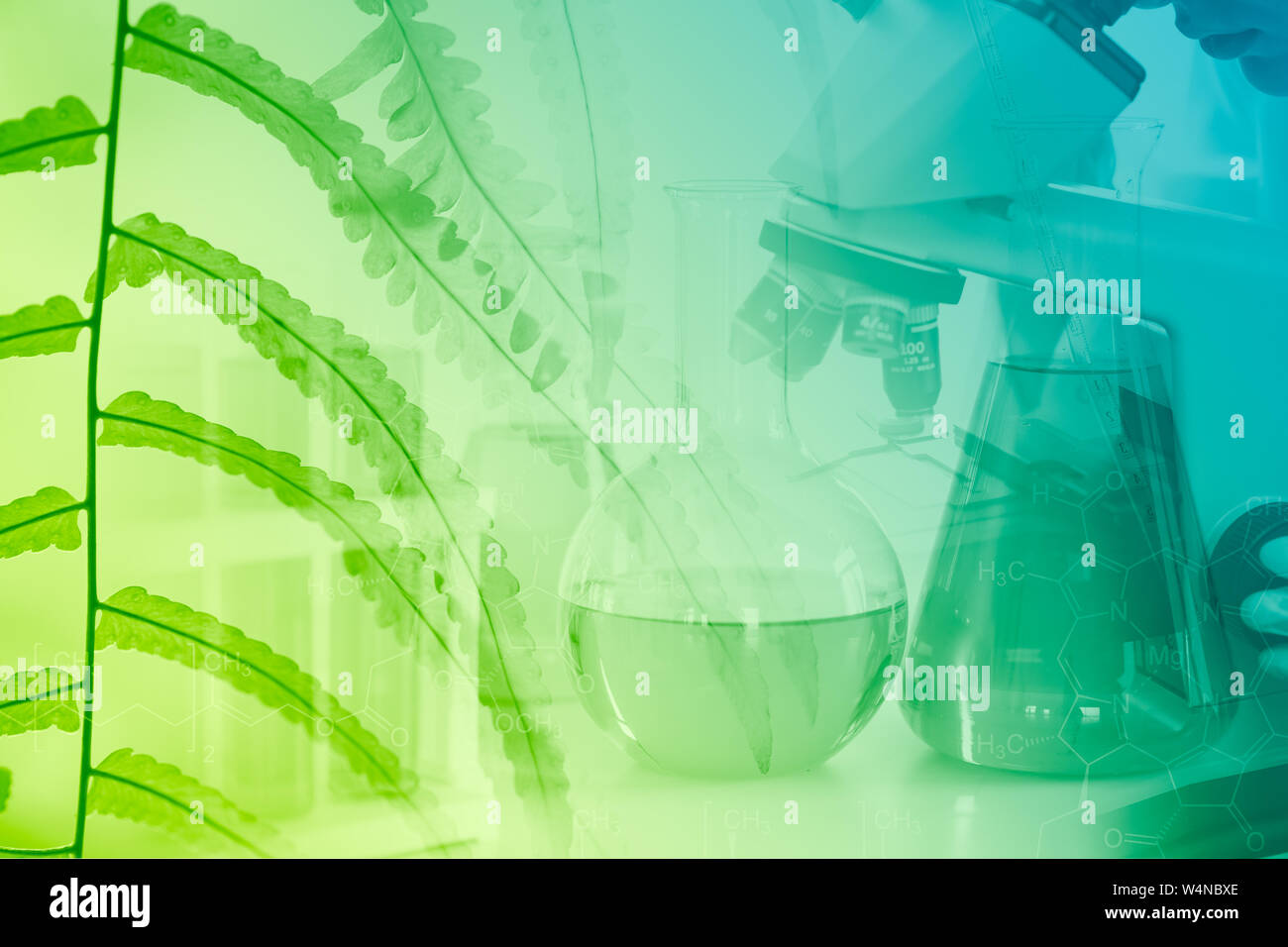 Chemical Science and Bio Technology of Green nature herbal extrac in