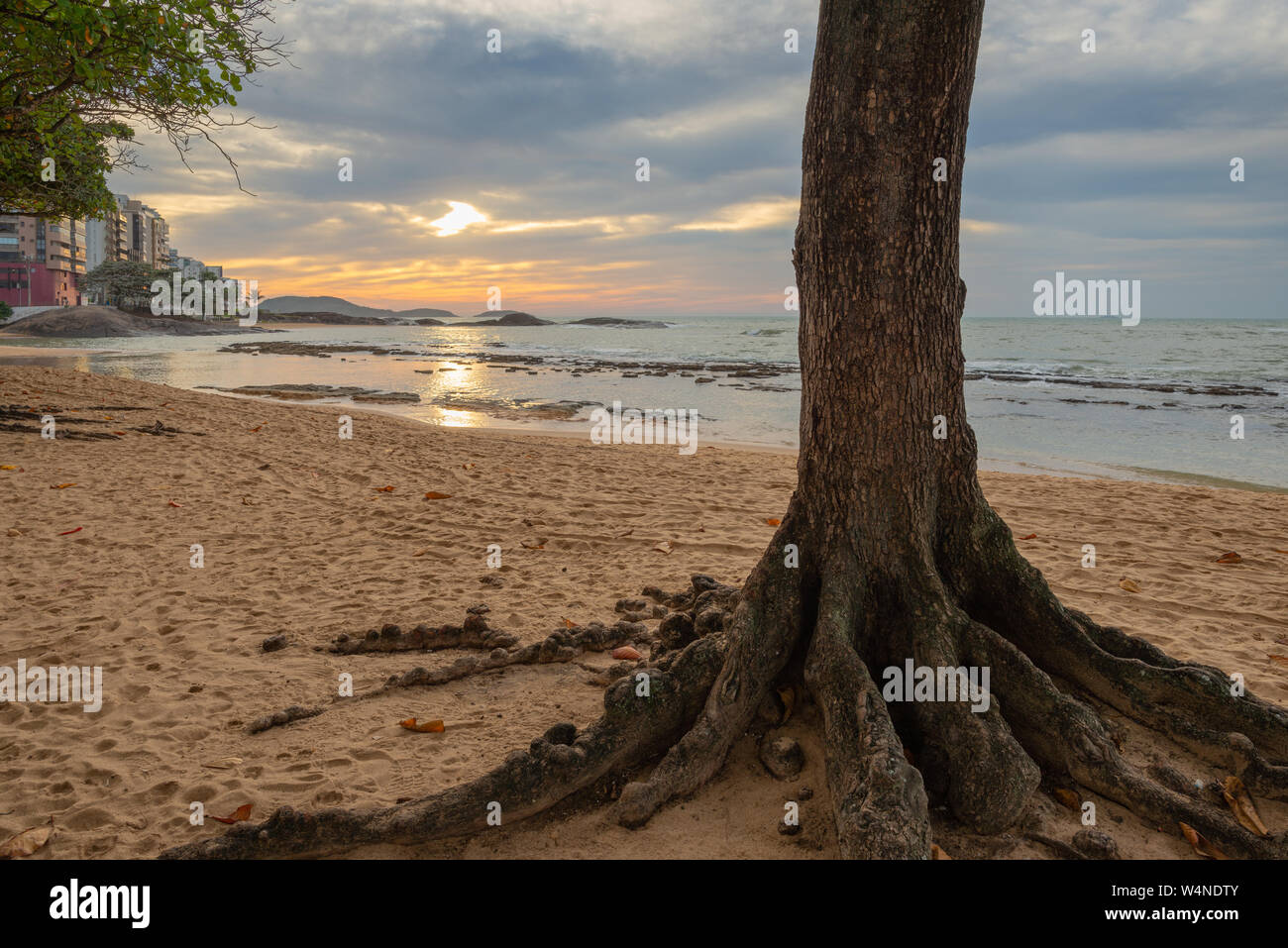 Sunrise in the Castanheiras (beach almond tree) beach, Guarapari, Espirito Santo State, Brazil. Stock Photo
