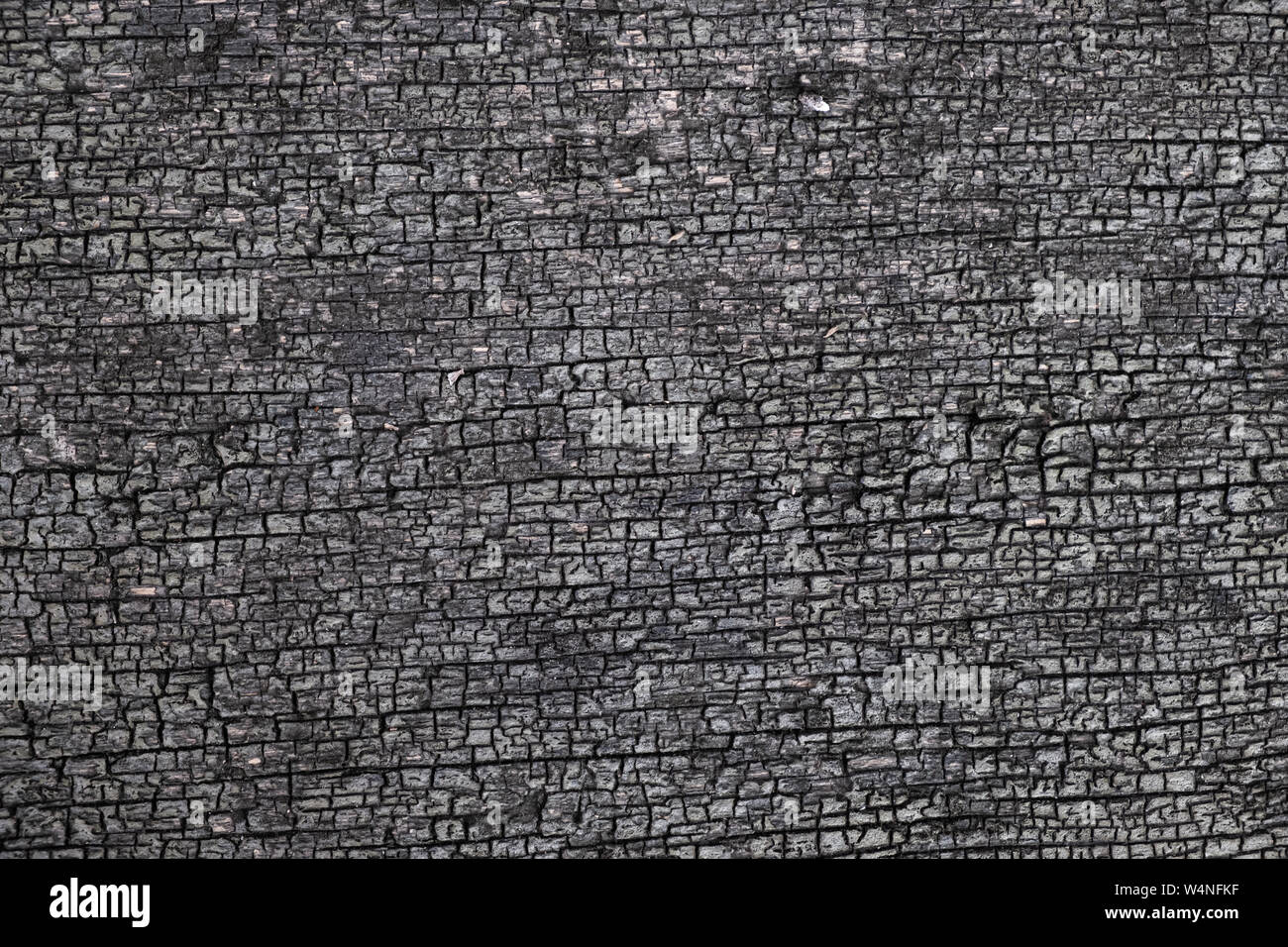 Grunge. Burned wood texture. Black background Stock Photo