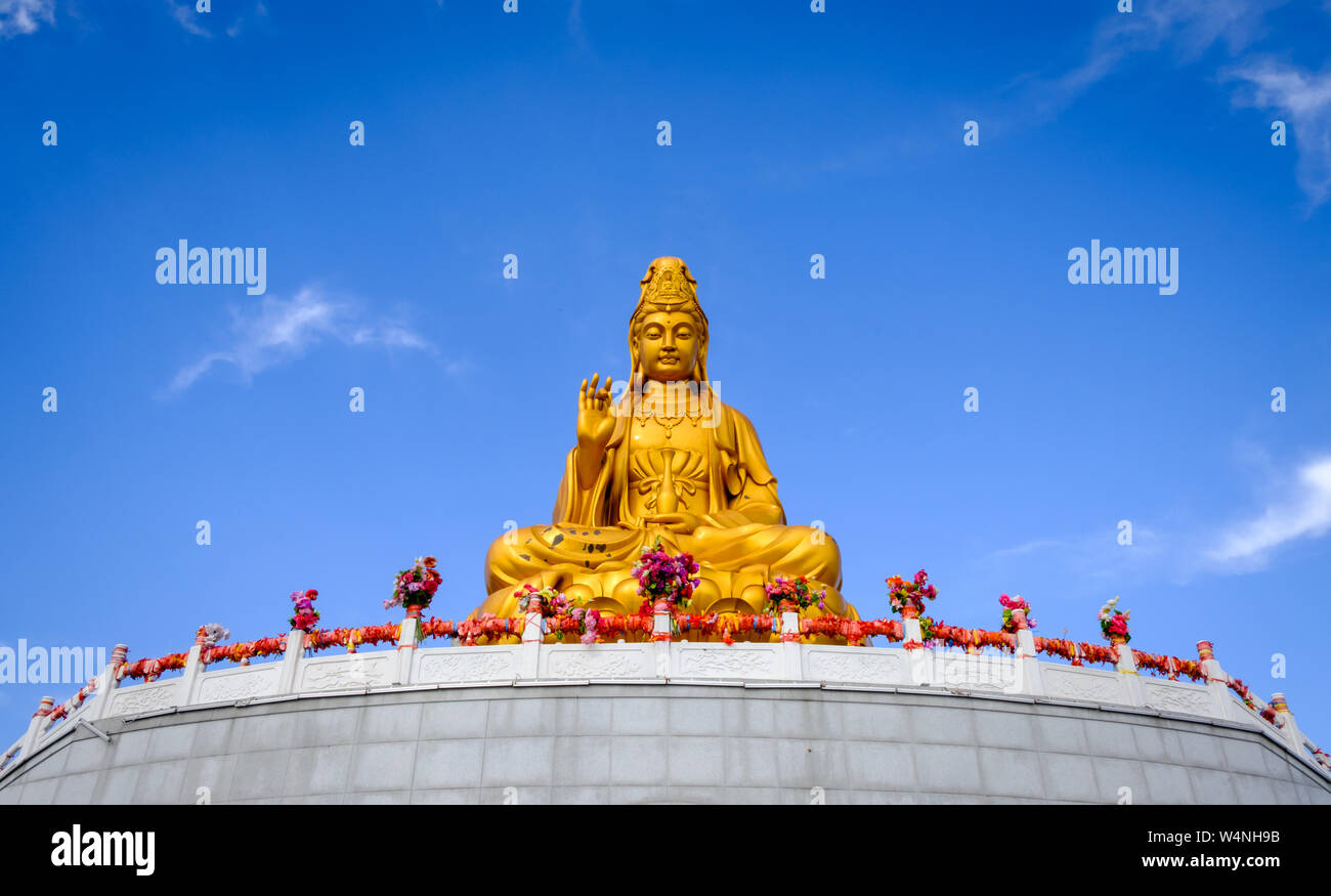 The buddha of compassion hi-res stock photography and images - Page 9 -  Alamy