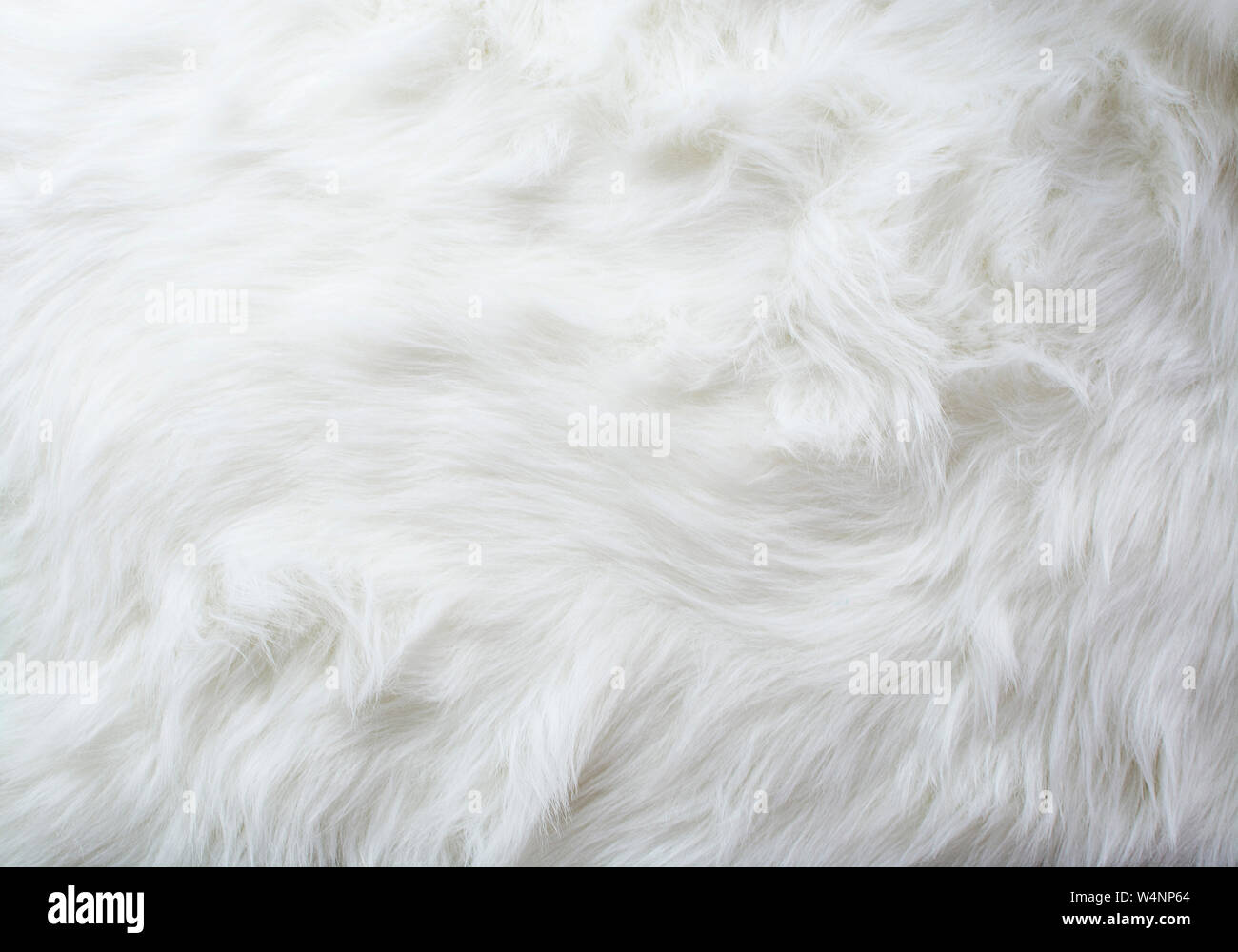 Fluffy Soft White Fur Background Stock Photo