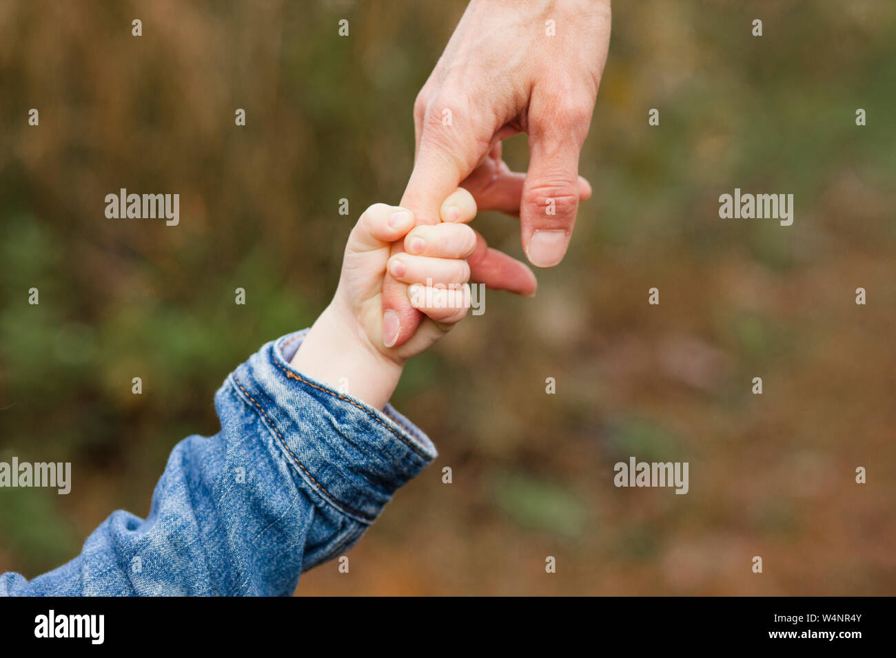 close-up of a small child and parent holding hands Stock Photo