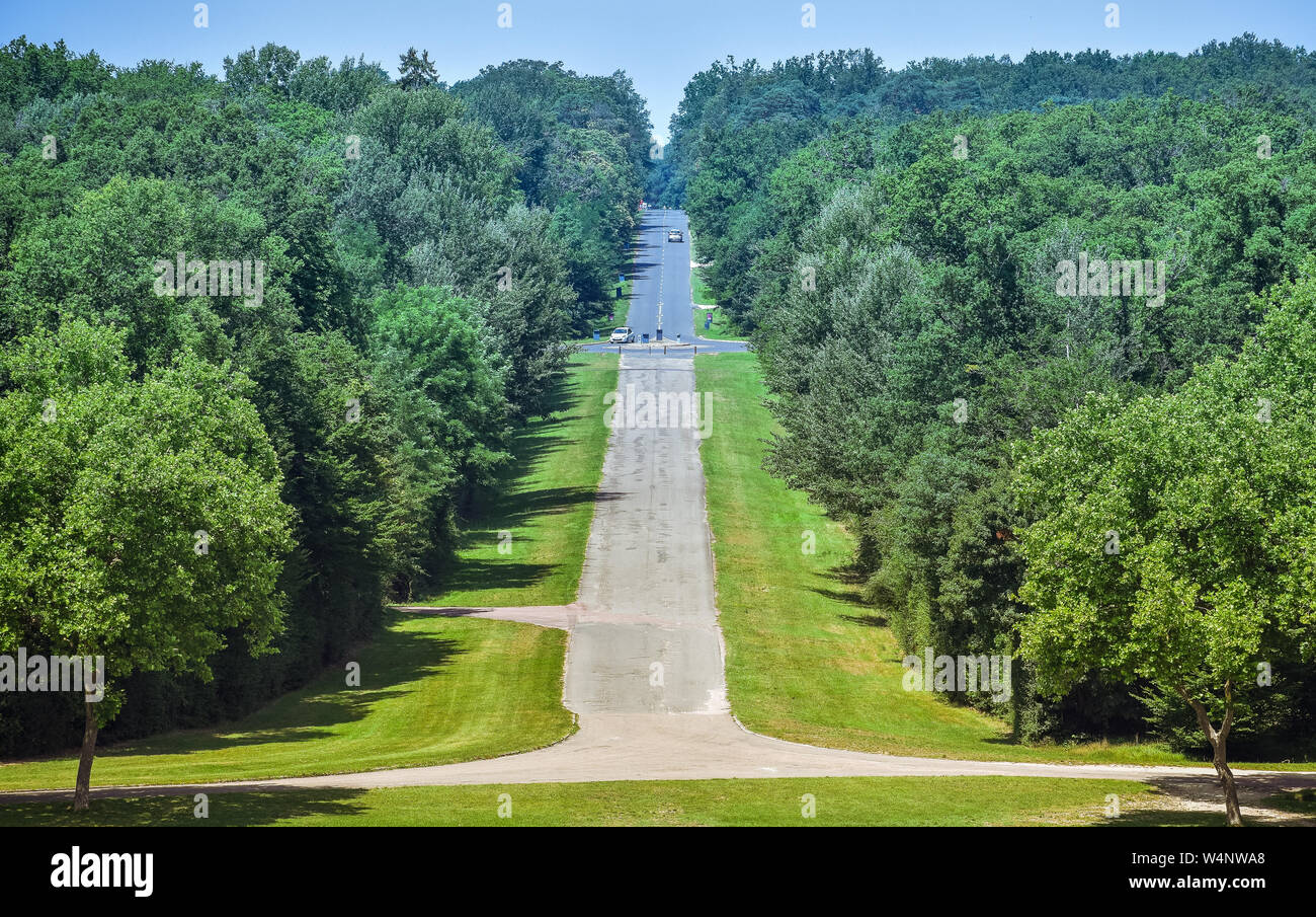 Long asphalt straight road through the forest. Road with ups and downs. Stock Photo