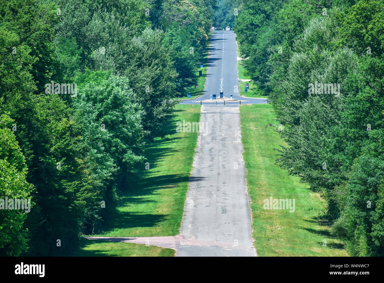Long asphalt straight road through the forest. Road with ups and downs. Stock Photo