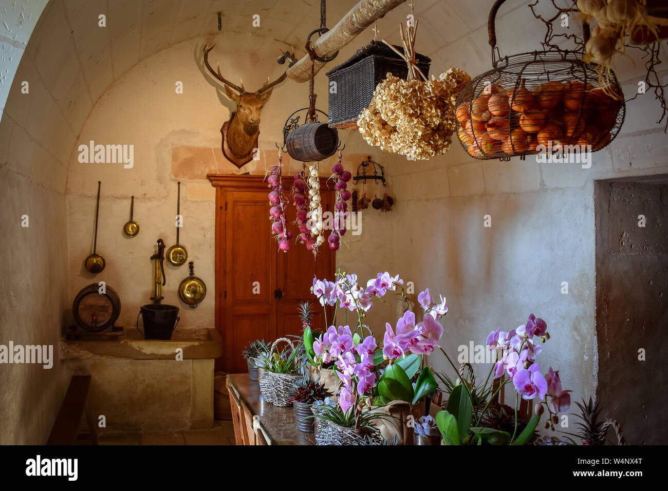 Recreation of the old kitchen of the castle. Eating table, natural products, all chaired by a deer head, hunting trophy. Stock Photo