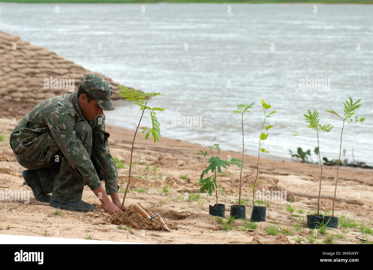 Bahia, September 22, 2006. Army soldier planting tree seedlings on the banks of the São Francisco river to avoid silting the São Francisco river in th Stock Photo