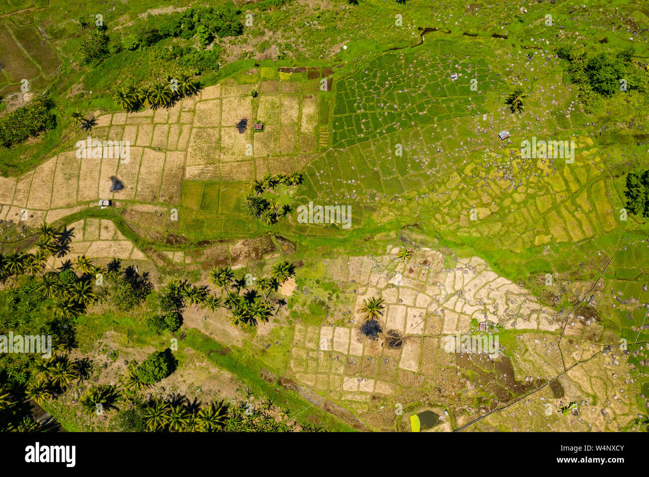 Aerial view of rice fields and farmlands on the tropical, volcanic ...