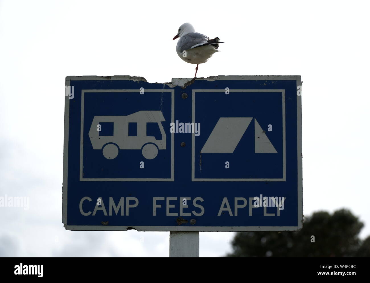 Campground fees hires stock photography and images Alamy