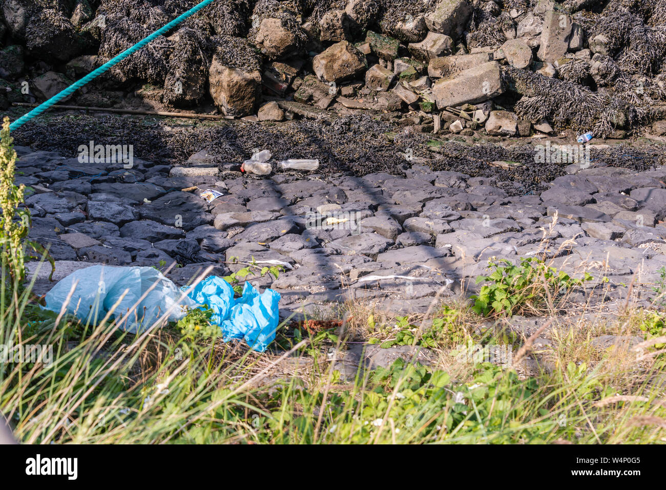 plastic waste on the banks of a harbor in the Netherlands Stock Photo