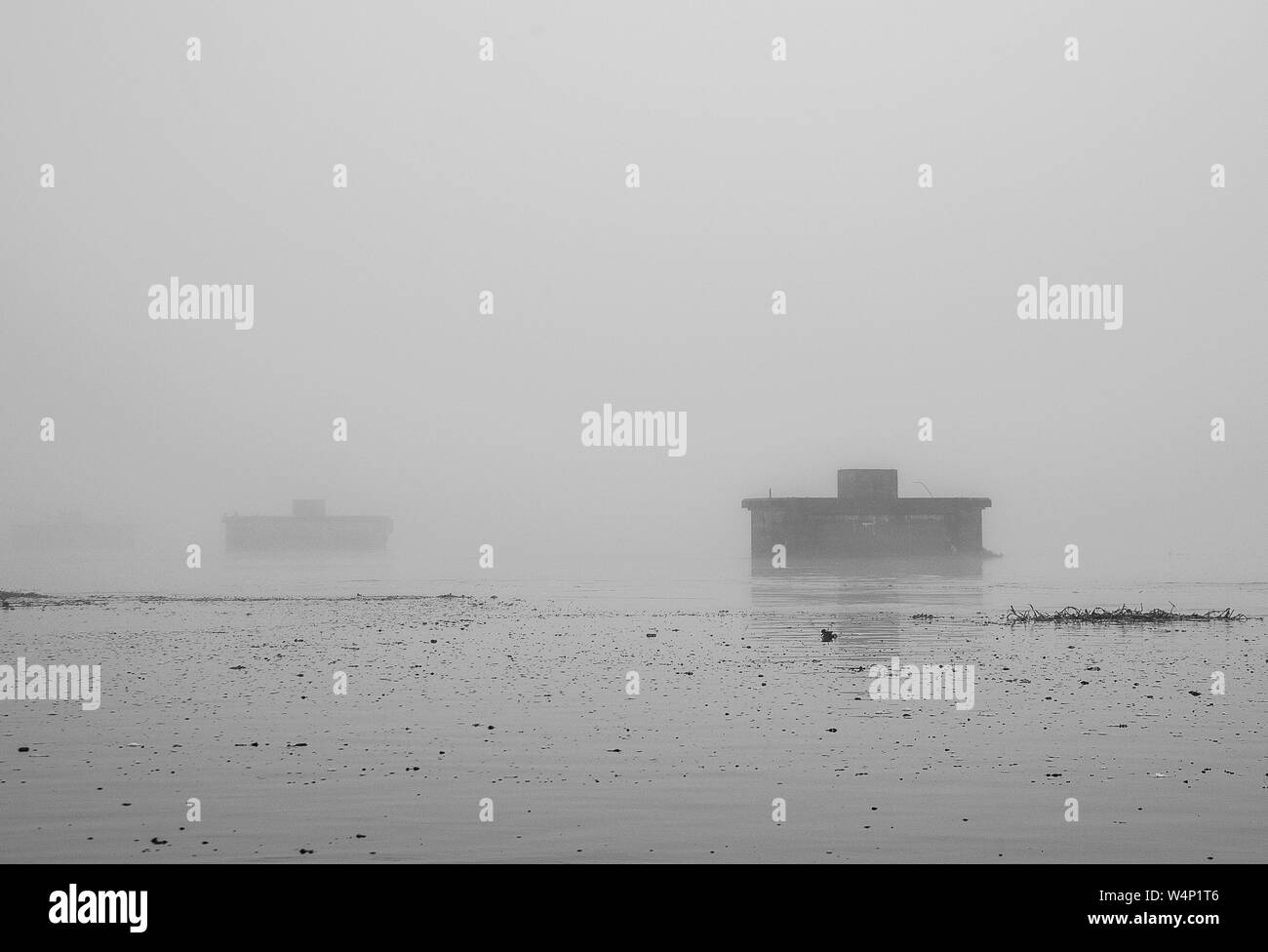 fog Stock Photo