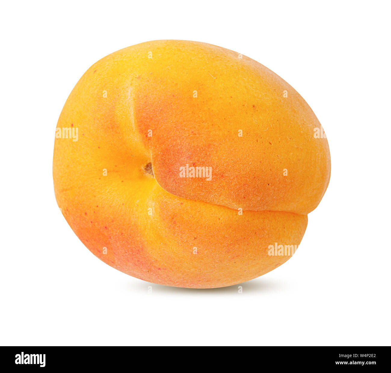 apricot isolated on white background Stock Photo - Alamy