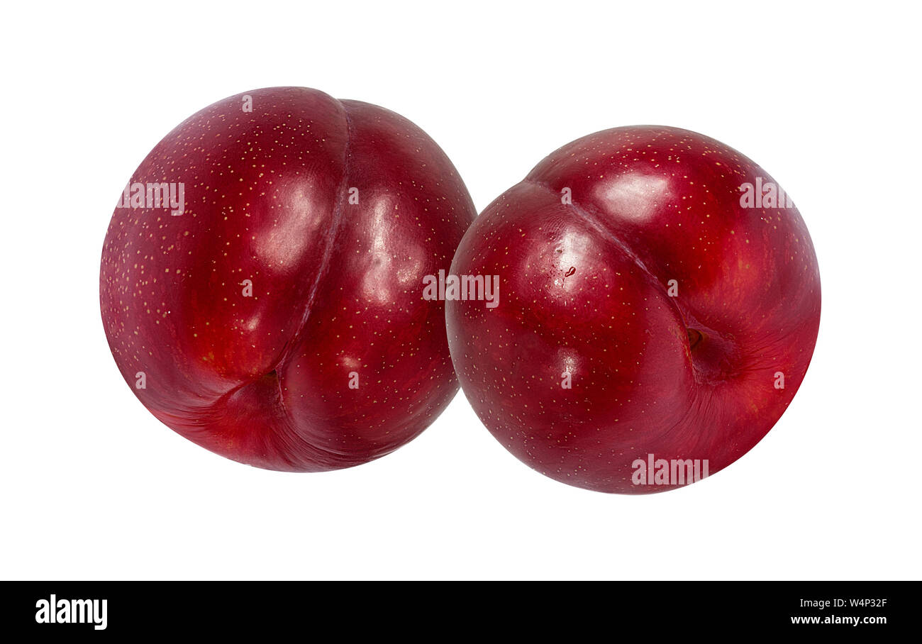 plum on a white background Stock Photo