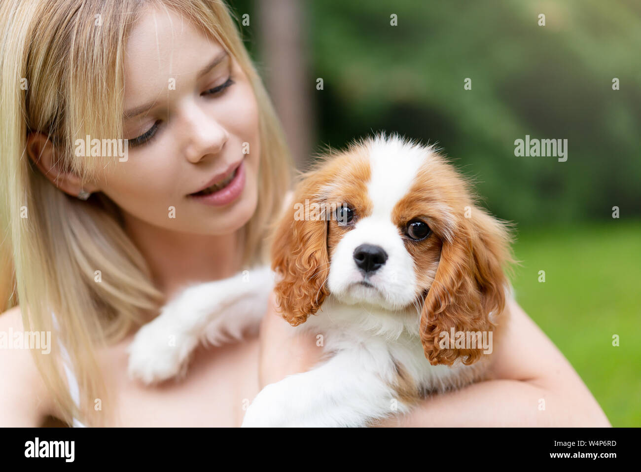 Young Beautiful Women Hugging With The Cocker Spaniel Dog Stock Photo Alamy