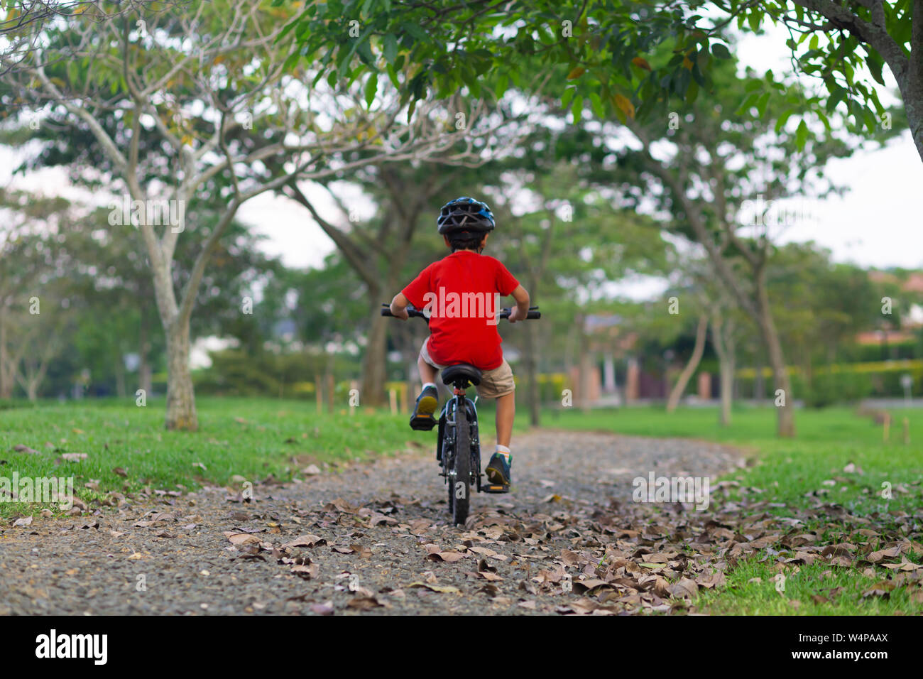 By a bike new arrivals