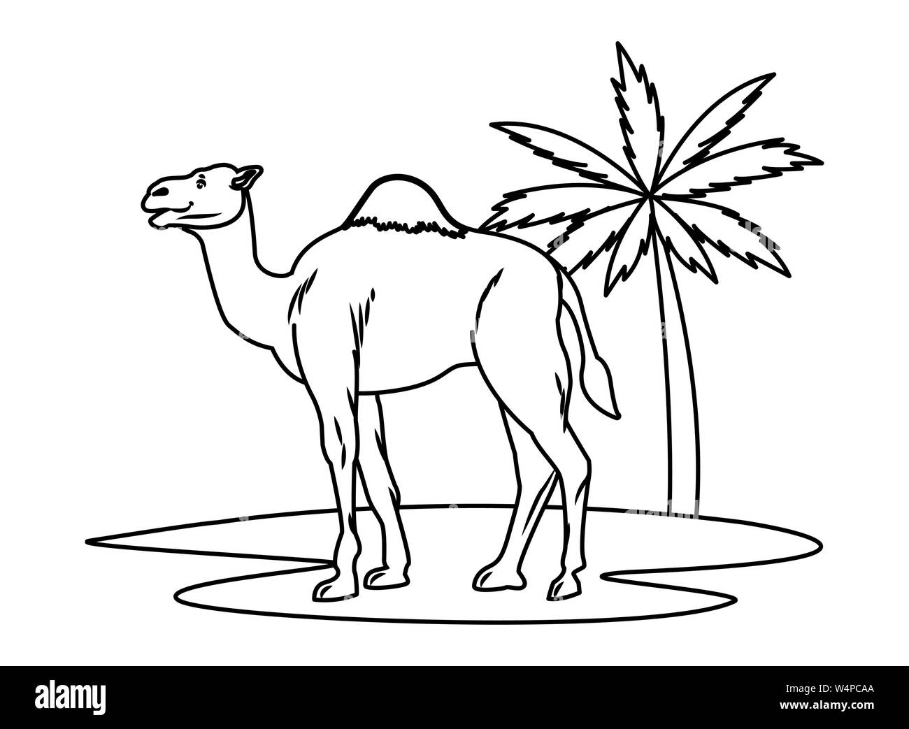 Drawn Camels Easy - Easy Cartoon Step By Step Camel Transparent PNG -  640x480 - Free Download on NicePNG