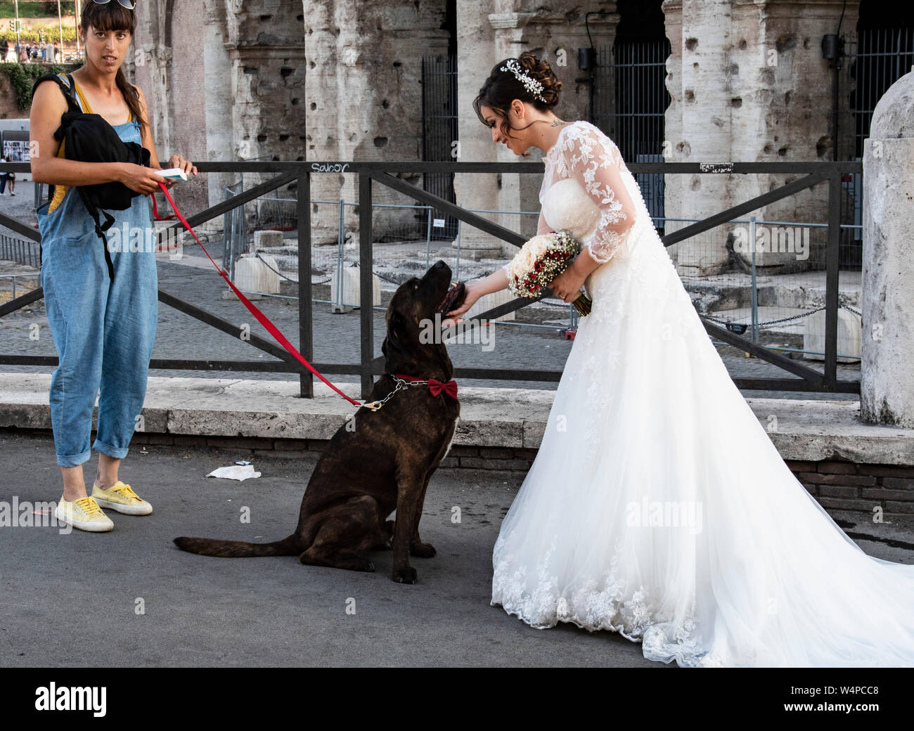 Bride in bridal gown pats her dog outside the Coliseum in Rome, Italy Stock Photo