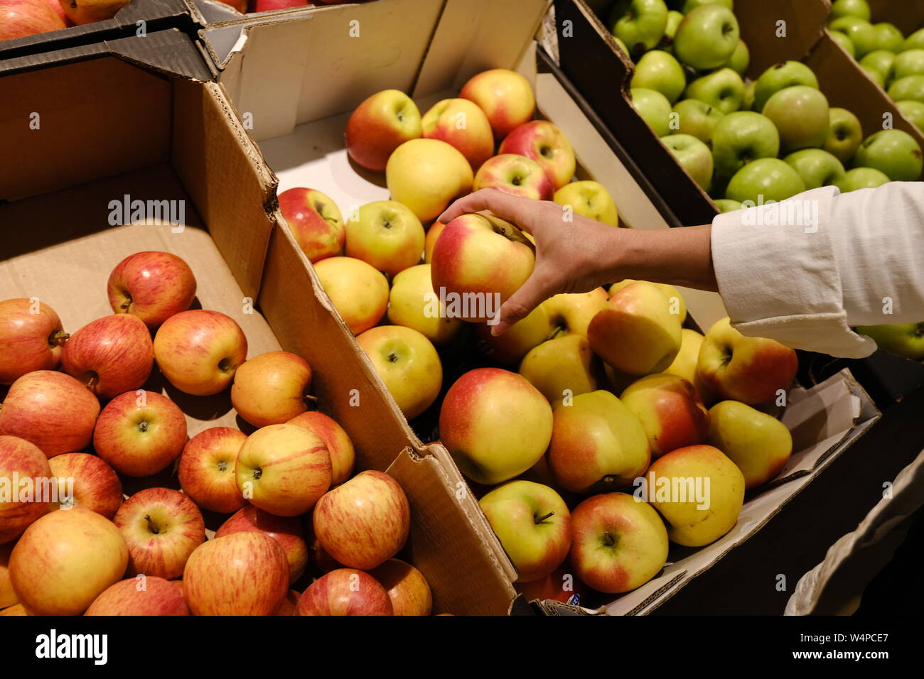 woman chooses apples in the store. counter in apples in a supermarket