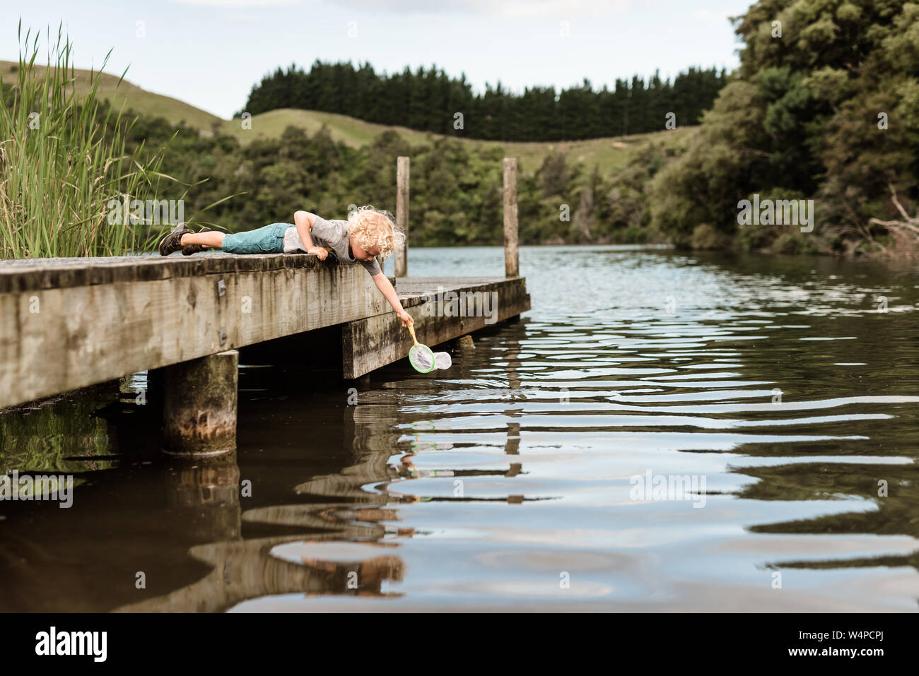 Young child reaching into a pond with a net Stock Photo