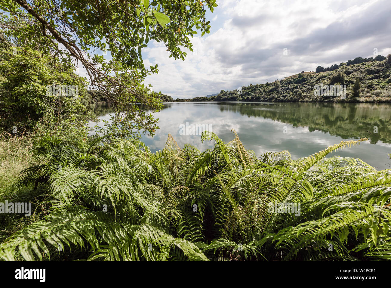 Landscape image of lush lakeside scene in New Zealand Stock Photo