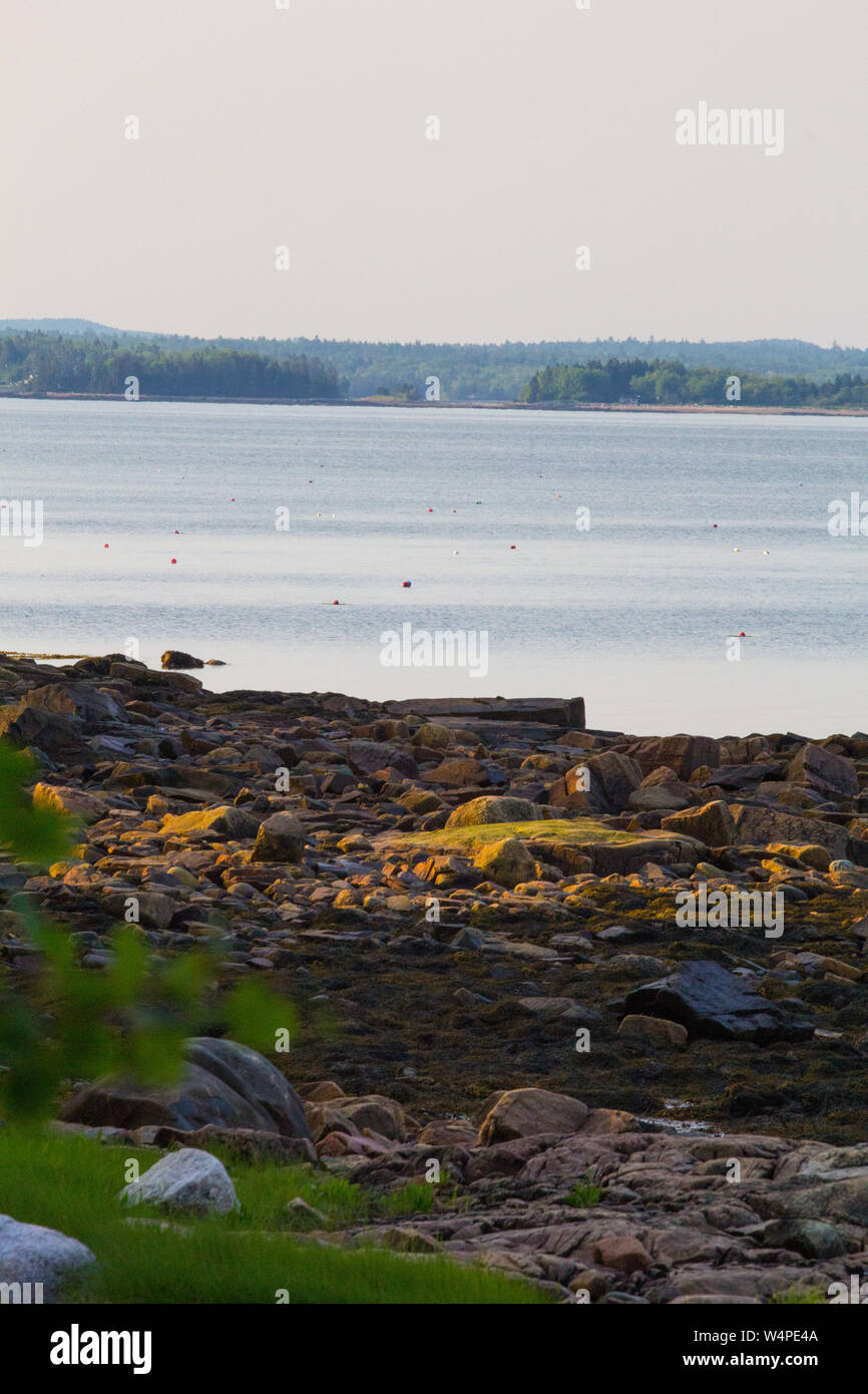 Summer Day on Gouldsboro Bay, Maine Stock Photo Alamy