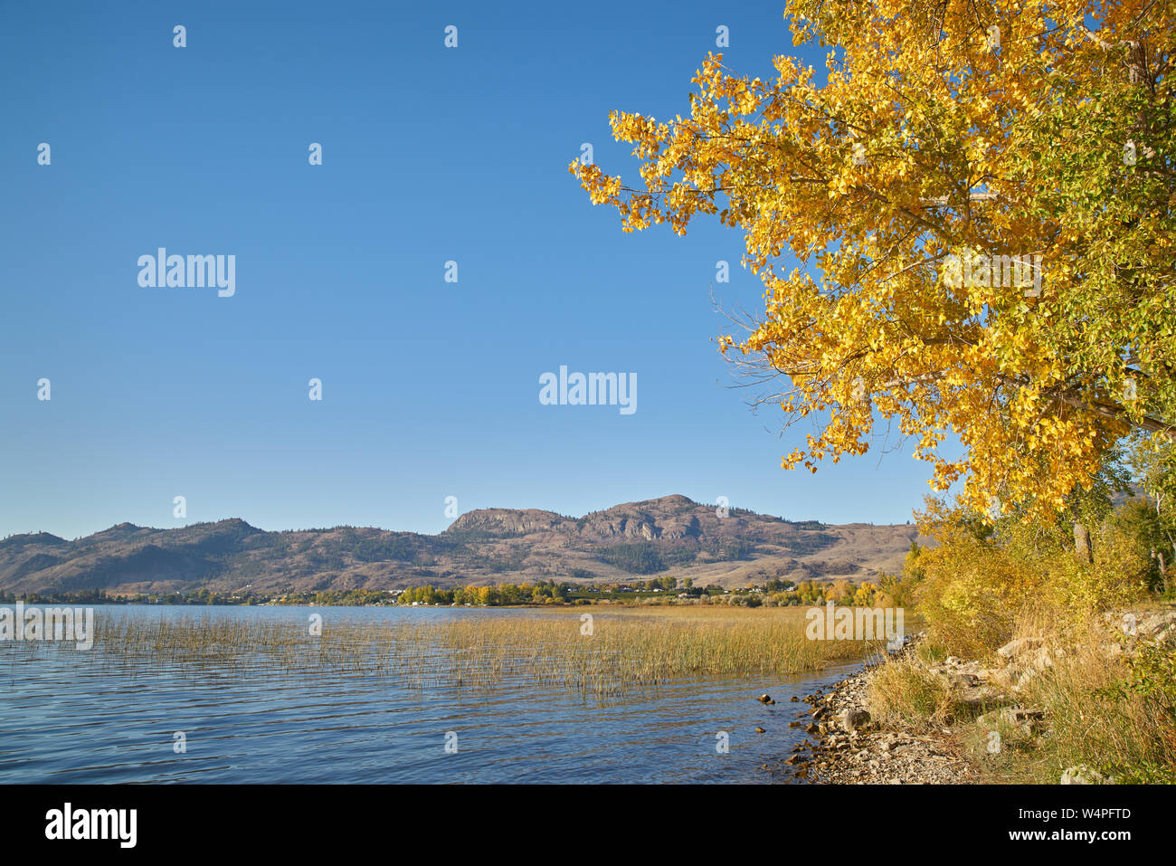 Osoyoos Lake Autumn Sunshine. A quiet morning on Osoyoos Lake, British Columbia, Canada. Stock Photo