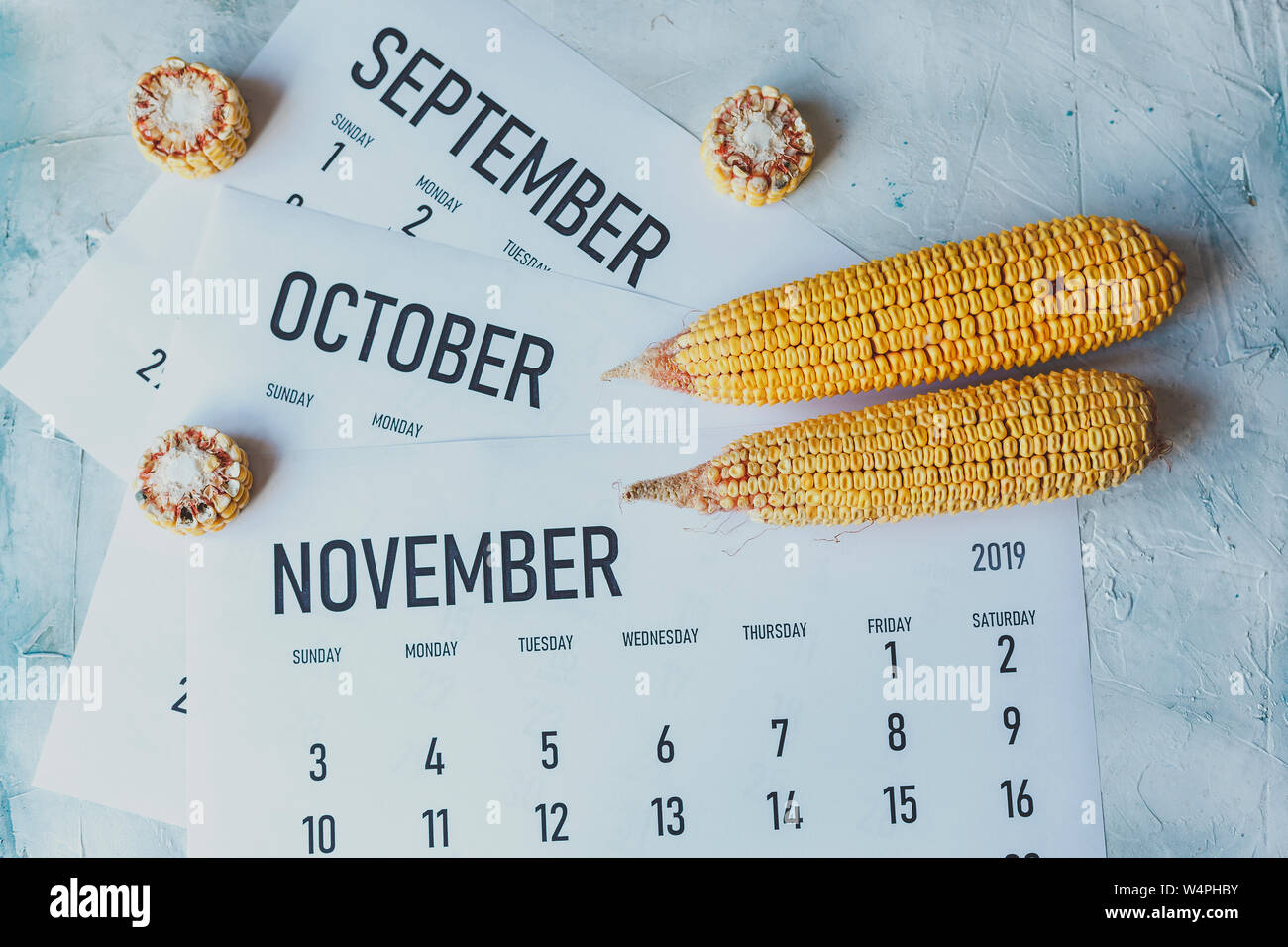 Autumn Months, Fall season concept. Harvest time. Three monthly