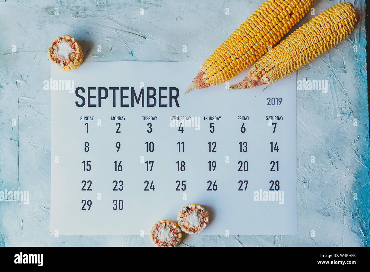 September Calendar. Autumn and Fall season concept. Harvest time. Top ...