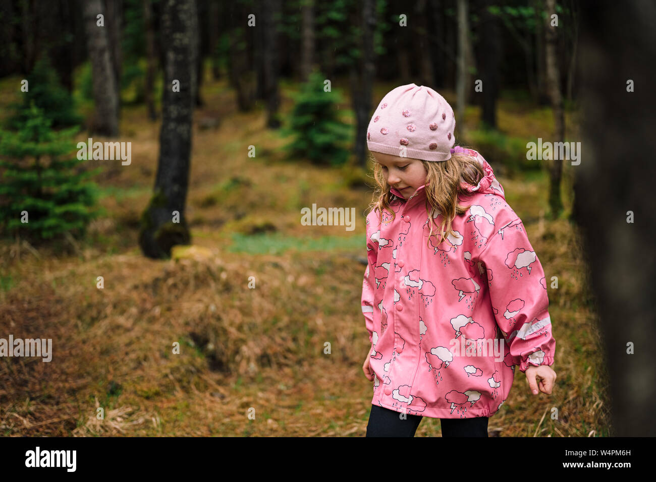 Adorable blond little girl in pink raincoat wandering in dark Icelandic forest among trees Stock