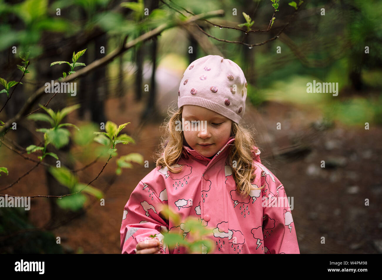 Little blonde girl wearing pink raincoat and hat walking in Reykjavik, Iceland forest looking down Stock Photo