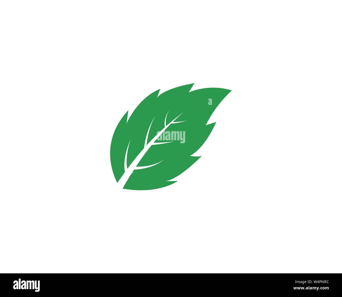 Mint leaves flat vector color icon template Stock Vector Image & Art ...