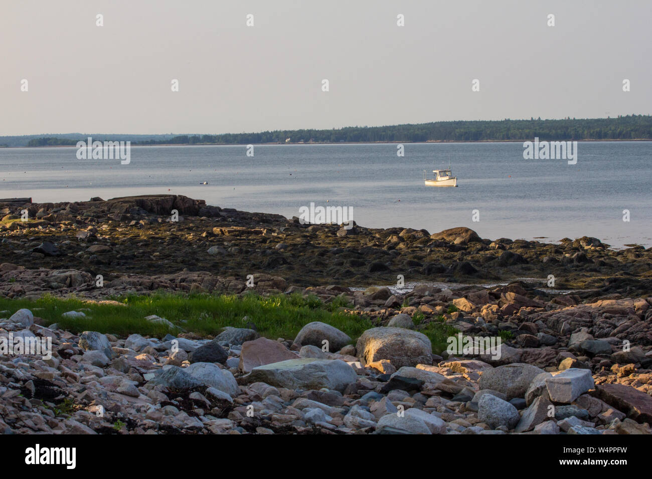 Summer Day on Gouldsboro Bay, Maine Stock Photo Alamy
