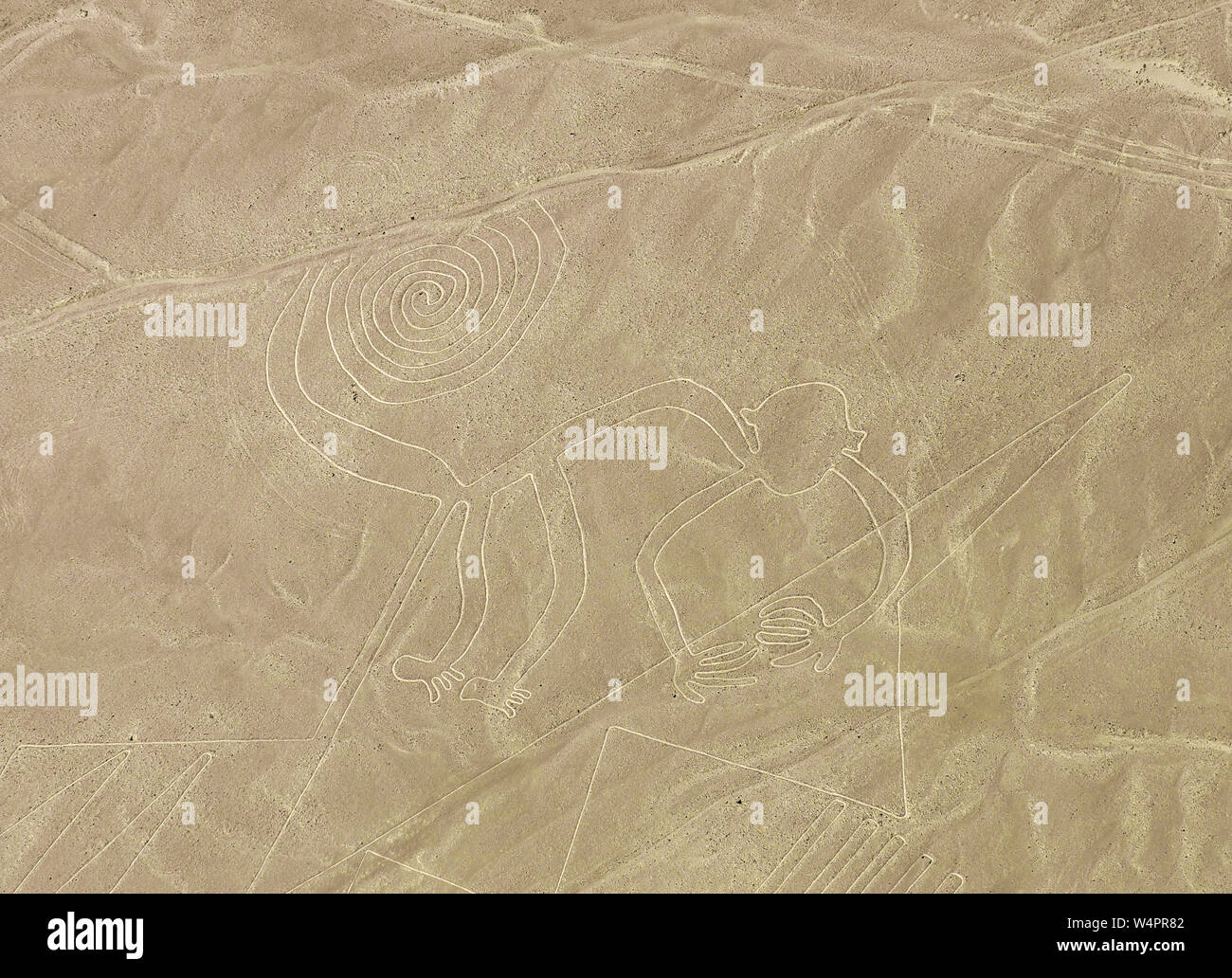 The monkey geoglyph and archaeological drawing design in the coastal desert of Peru known as the mysterious Nazca Lines near the city of Nazca, Peru. Stock Photo