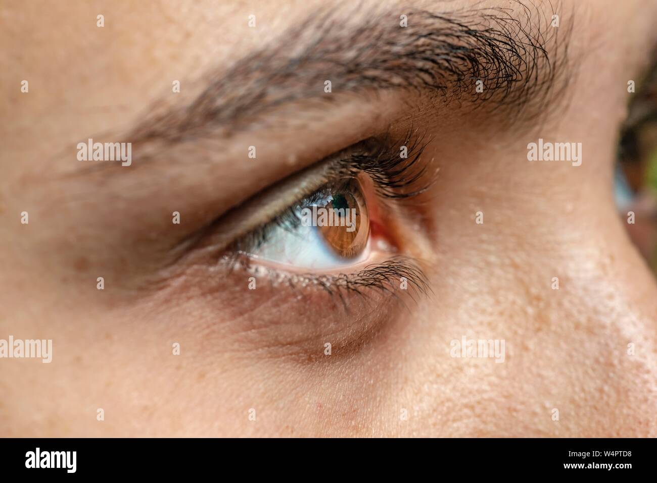 Eye, brown, macro, Germany Stock Photo