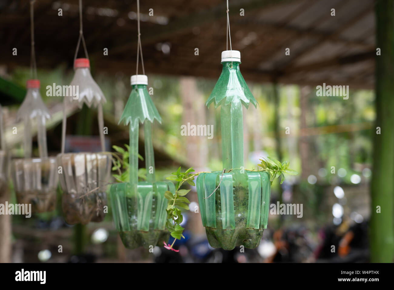 Creative use of empty plastic soft drinks bottles being used as